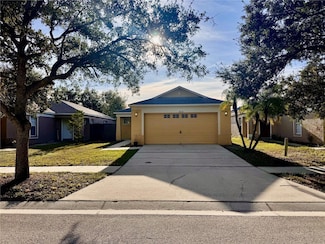 18133 Lembrecht Way, Tampa, FL 33647