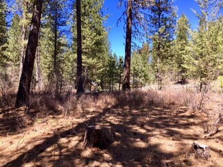 B3, L4 Kimberland Dr Unit 4, New Meadows, ID 83654