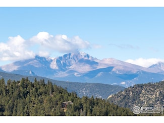 981 Palisade Mountain Dr, Drake, CO 80515