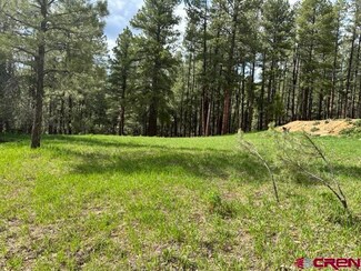 203 Snowbird, Bayfield, CO 81122