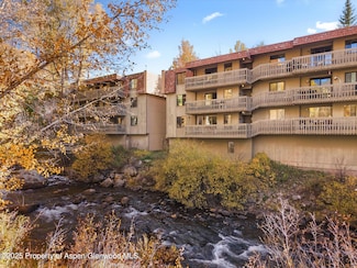 1020 E Hopkins Ave Unit 9, Aspen, CO 81611