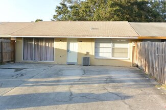8203 Briar Gate Ct, Tampa, FL 33615