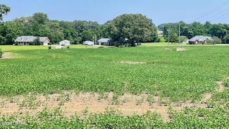 00 Roy Hargrove Rd, Medina, TN 38355