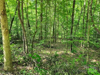 0000 Hayes Rd, Columbus, NC 28722