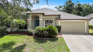8836 Alafia Cove Dr, Riverview, FL 33569