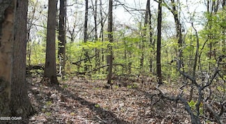 000N Plainview Rd, Anderson, MO 64831