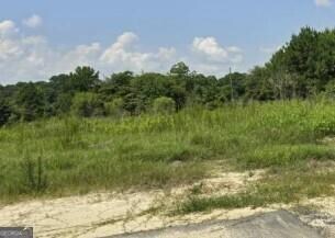 2171 Ga Highway 133 N, Moultrie, GA 31768