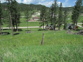 TBD Placer Place Unit Lot 14 Placer Place, Hill City, SD 57745
