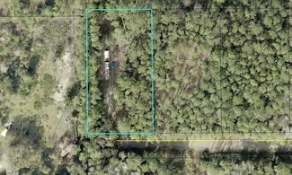 5334 Olive Ave, Bunnell, FL 32110
