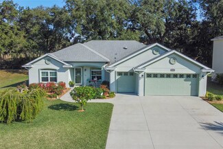 9811 Pepper Tree Place, Wildwood, FL 34785