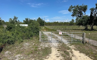 6766 N County Road 53, Mayo, FL 32066