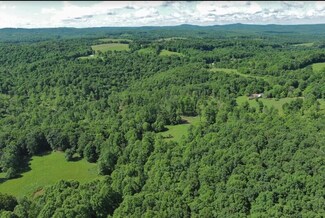 1024 River Rd, Nallen, WV 26680