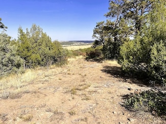 0 Mount Bierstadt Way, Colorado City, CO 81069