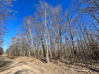 TBD Cherry Lake Rd, Maple Grove Township, MN 56569