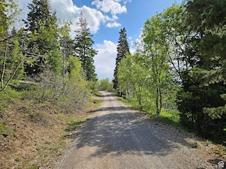 1246 E North Fork Rd S Unit 1246, Fairview, UT 84629