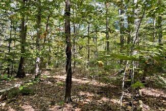 0 New Hampshire 123, Sharon, NH 03458