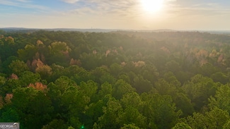 TRACT 2 Dennis Creek Rd, Talbotton, GA 31827