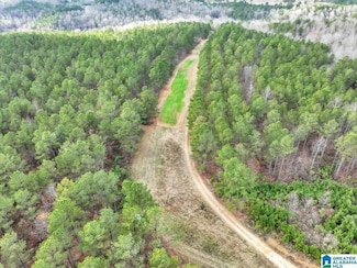 0 County Road 77, Cullman, AL 35057