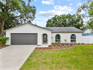 6204 Walsh Ln, Tampa, FL 33625