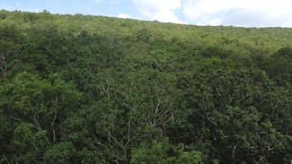 56-A Ridgetop Ln, Tazewell, VA 24651