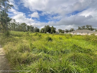 221 Caspian Tern Ave, Sebring, FL 33870