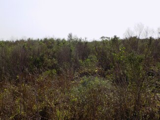 164 Cr 291 Red Bend Rd, Sargent, TX 77414