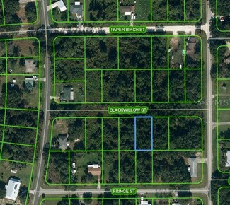 1505 Prentice St, Lake Placid, FL 33852
