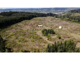 41116 Rodgers Mountain Loop, Scio, OR 97374