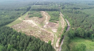 Tract 1 - TBD Oak Hill Rd, Dierks, AR 71833
