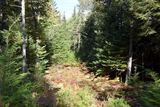 M5 L40 Rusty Dr, Embden, ME 04958