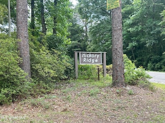 00 Hickory Ridge Subdivision Dr, Picayune, MS 39466