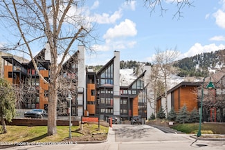 800 S Mill St Unit 102, Aspen, CO 81611