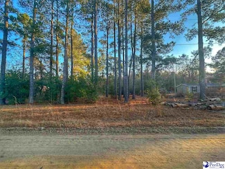 2925 Leah Dr, Little Rock, SC 29567