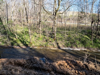 0 Dog Creek Rd, Primm Springs, TN 38476