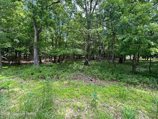 Lot B818 E Old Stage Rd, Penn Forest Township, PA 18210