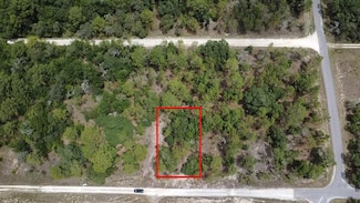 00 NE 152nd Ct, Williston, FL 32696