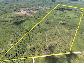 000 Lost Indian Camp Rd, Huntsville, TX 77320