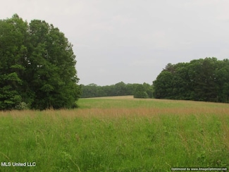 0 Daniels Rd, Vaughan, MS 39179