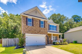 1017 Campbell Ridge Dr, Elgin, SC 29045