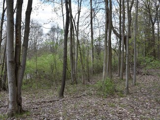 6706-036-7-1 Huson Rd, Woodcock Township, PA 16433
