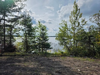 TBD Andrusia Rd SE, Cass Lake, MN 56633