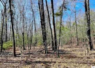 0 S Martin Ln, West Monroe, LA 71292