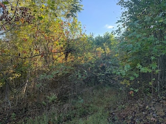 0 Shaw Hollow Rd, Tollesboro, KY 41189