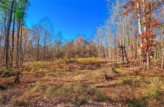 170 Hash Ln, Summerfield, NC 27358