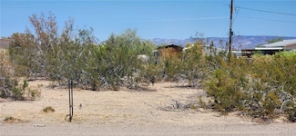 12874 S Pima Pkwy, Topock/Golden Shores, AZ 86436