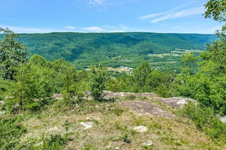 225 Bobcat Trail, Jasper, TN 37347