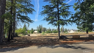 958 Bille Rd, Paradise, CA 95969