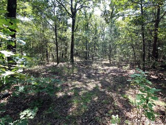 106454 S 4475, Vian, OK 74962