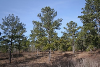 1506 Attapulgus Climax Rd, Climax, GA 39834