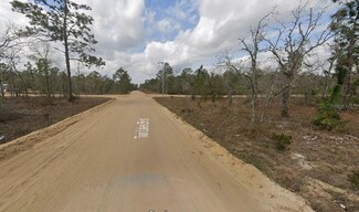 1137 Twin Lakes Blvd, Interlachen, FL 32148